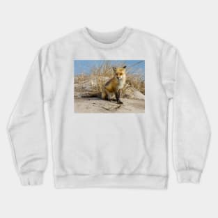 Red Fox 2 Crewneck Sweatshirt